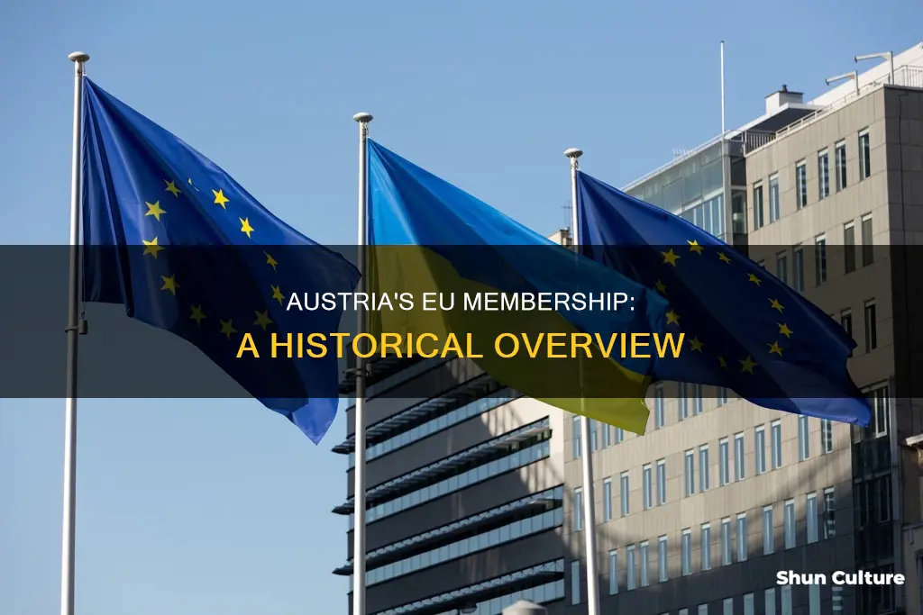 what year did austria join the eu
