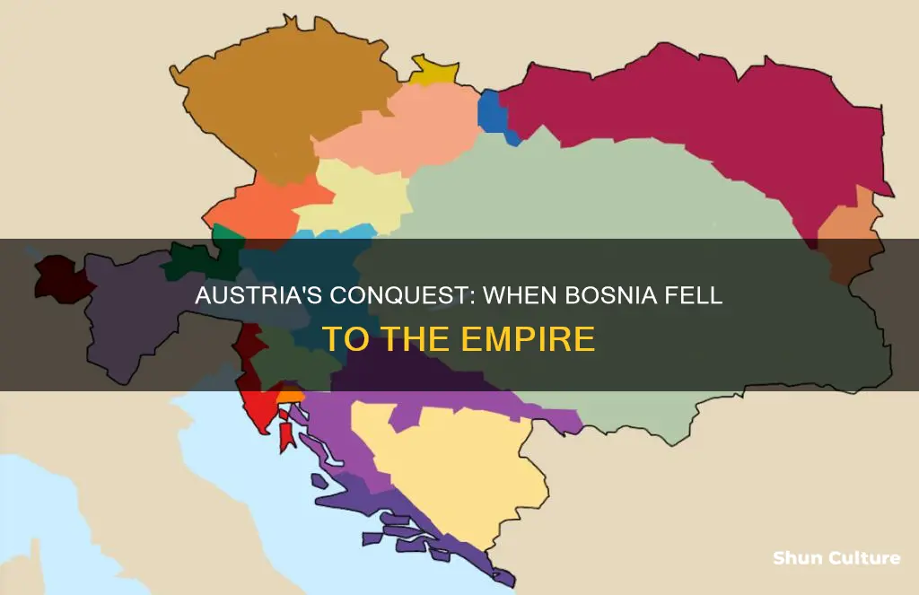 what year did austria take over boznia