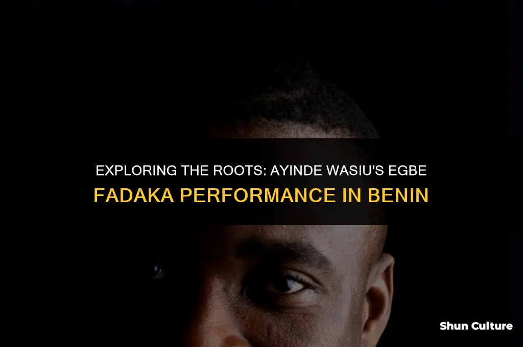 what year did ayinde wasiu perform egbe fadaka in benin