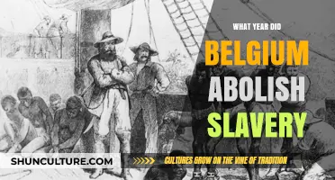 Belgium's Journey to Freedom: The Abolition of Slavery