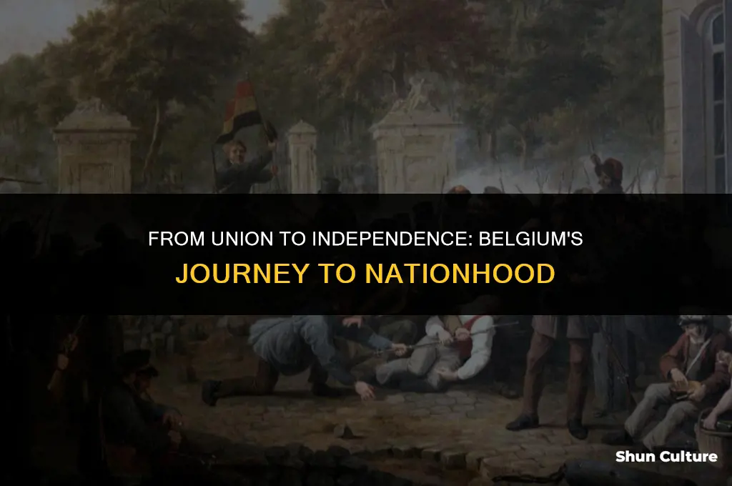 what year did belgium became a country