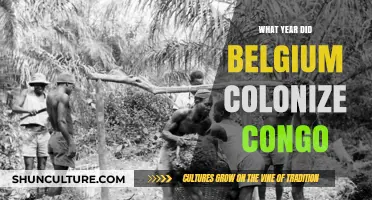 Belgium's Colonial Legacy: The Congo's Struggle for Independence