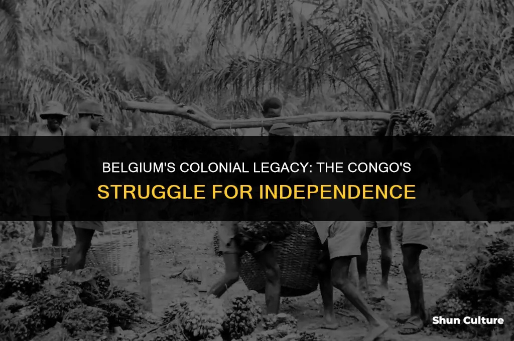 what year did belgium colonize congo