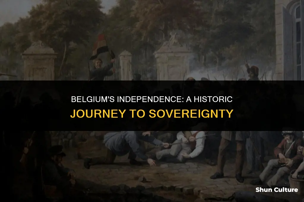 what year did belgium declare independence