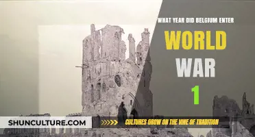 Belgium's Entry into World War I: A Historical Overview