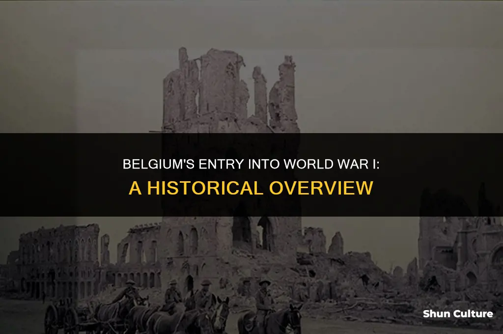 what year did belgium enter world war 1