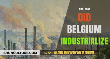 Belgium's Industrial Revolution: A Timeline of Economic Transformation