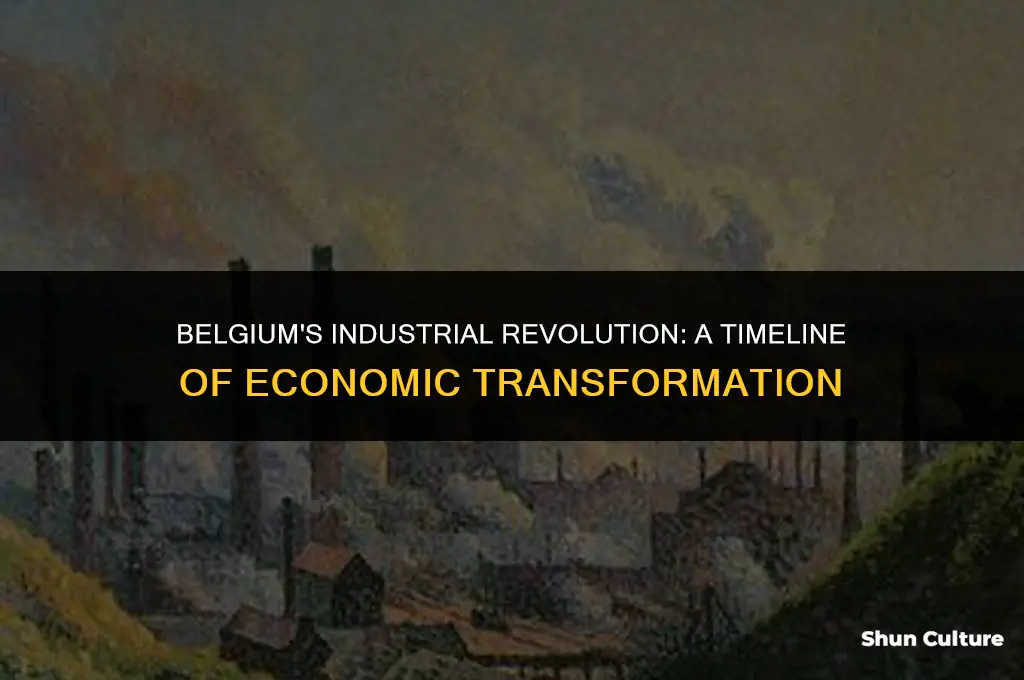 what year did belgium industrialize
