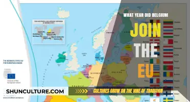 Belgium's EU Membership: A Historical Journey into European Unity