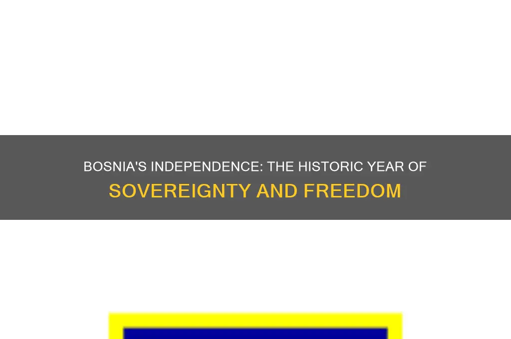 what year did bosnia gain independence
