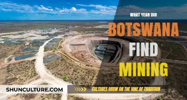 Botswana's Mining Discovery: Uncovering the Year of Resource Exploration