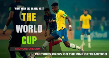 Brazil's Historic World Cup Hosting Year: A Look Back