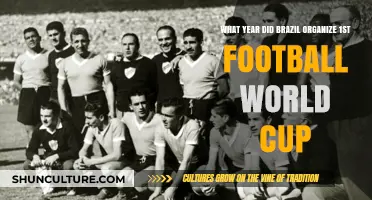 Brazil's Historic 1st Football World Cup: The Year It All Began