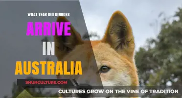 Unveiling the Mystery: When Did Dingoes First Arrive in Australia?