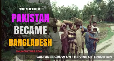 East Pakistan to Bangladesh: The Year of Independence Revealed