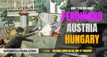 The Year of Franz Ferdinand's Fateful Assassination