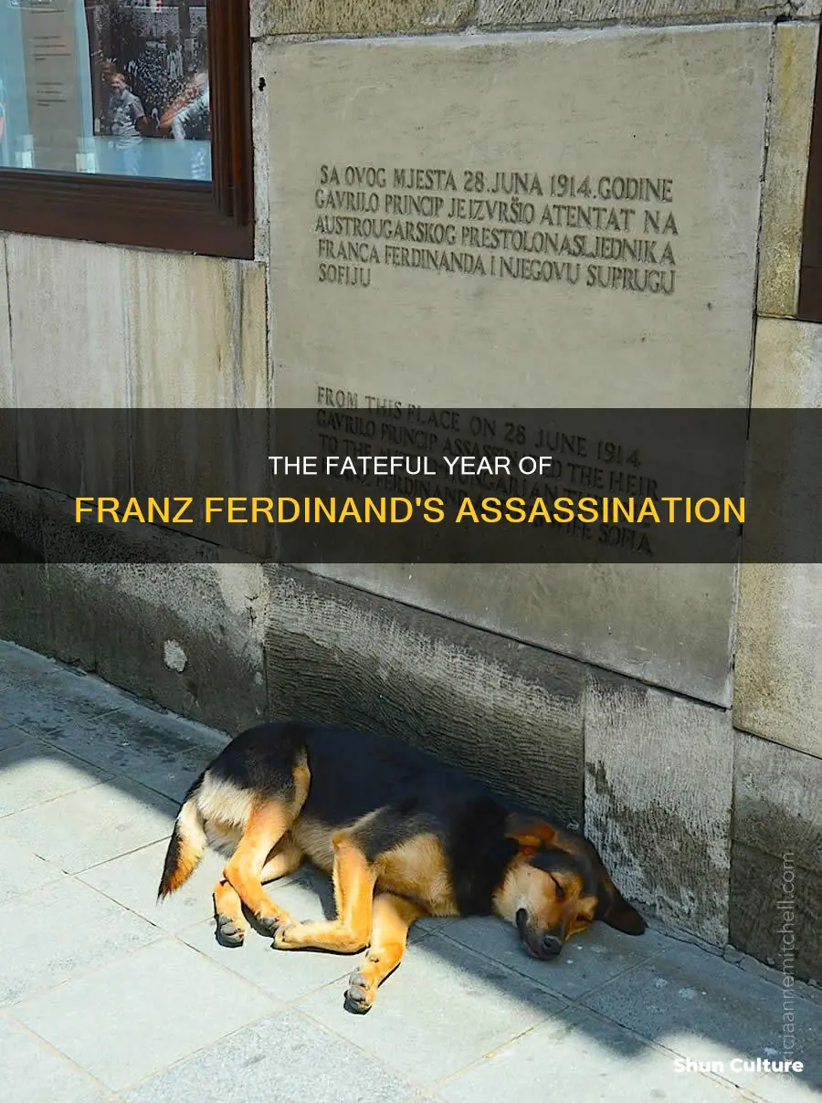 what year did franz ferdinand austria hungary