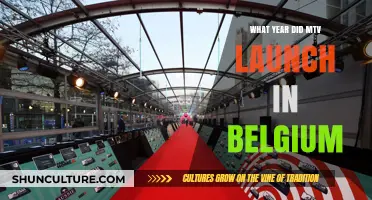 MTV's Belgian Debut: A Look Back at the Launch Year