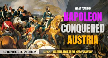 Napoleon's Conquest: The Year Austria Fell