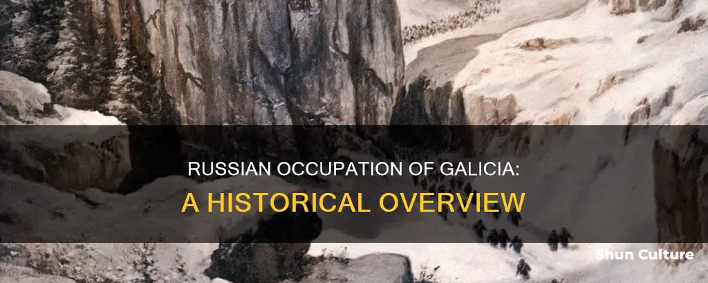 what year did russians occupy galicia austria