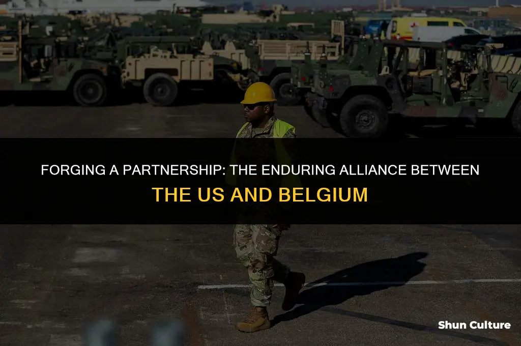what year did the alliance between the us and belgium