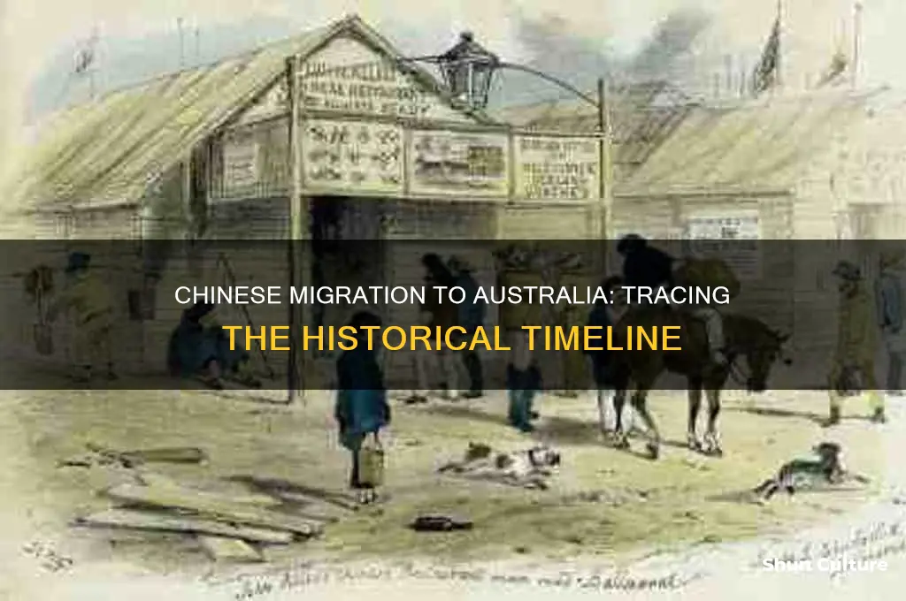 what year did the chinese migrated to australia