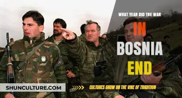 When Did Bosnia's War Conclude: A Historical Overview of the End