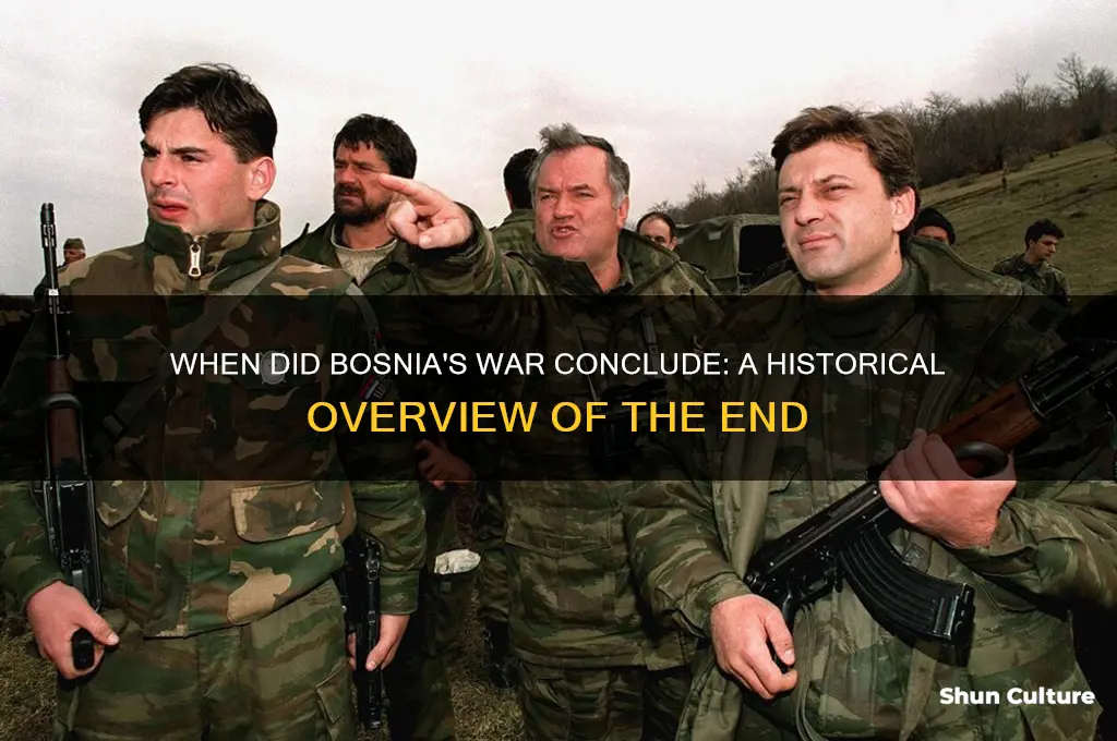 what year did the war in bosnia end
