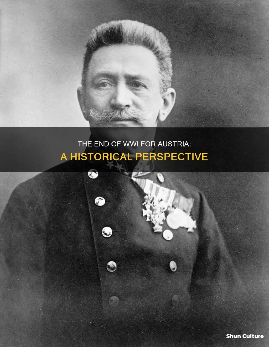 what year did ww1 end for austria