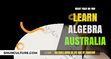 When Do Australian Students Begin Learning Algebra in School?