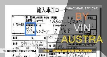 How to Identify Your Car's Year of Manufacture