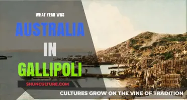 Australia's Gallipoli Campaign: Uncovering the Historic Year of 1915