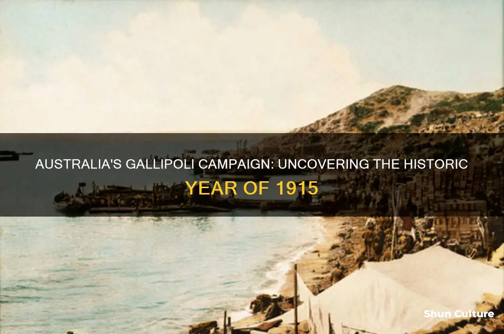 what year was australia in gallipoli