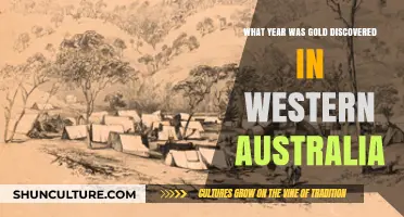 Gold Discovery in Western Australia: A Historical Overview