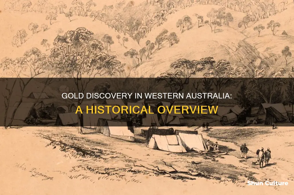 what year was gold discovered in western australia