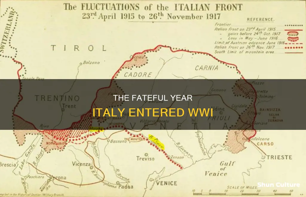 what year was italy declared war on austria-hungary
