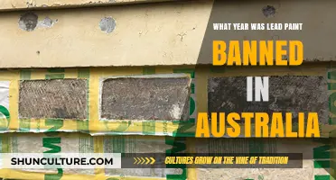 When Did Australia Ban Lead Paint? A Historical Overview
