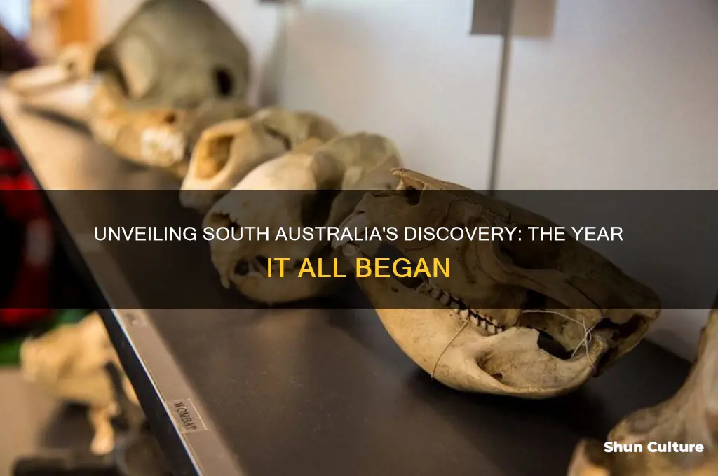 what year was south australia discovered