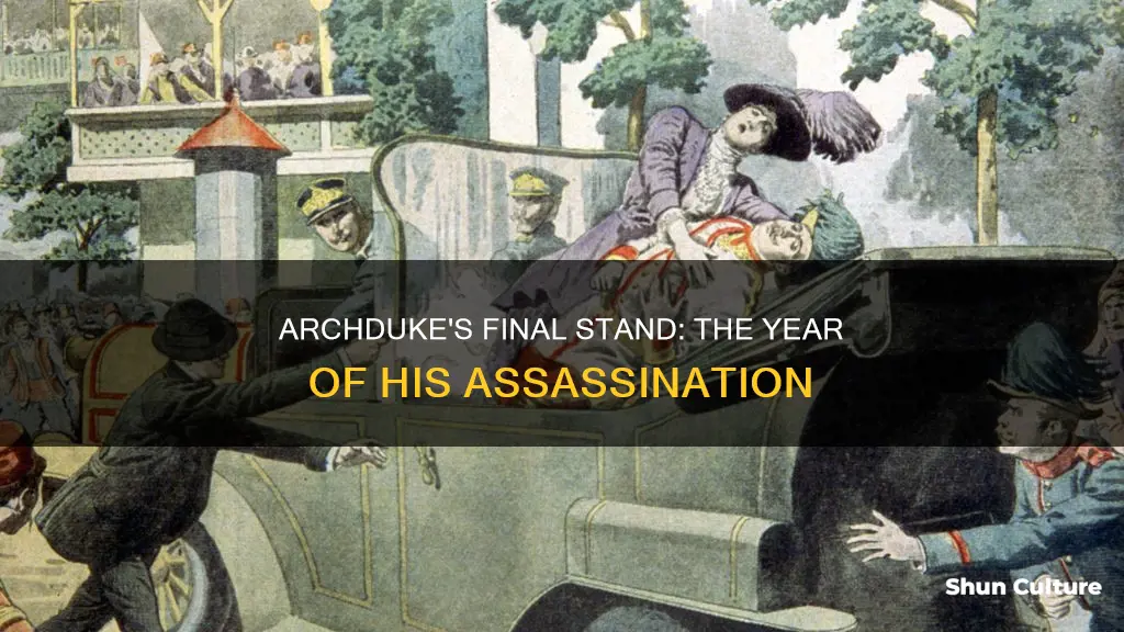 what year was the archduke of austria hungary assassinated