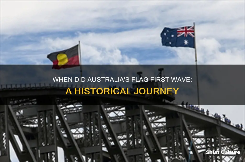 what year was the australian flag first flown