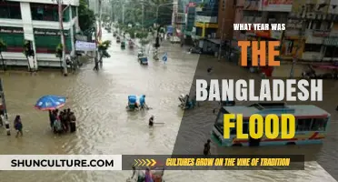 Bangladesh Flood: Uncovering the Year of the Devastating Deluge