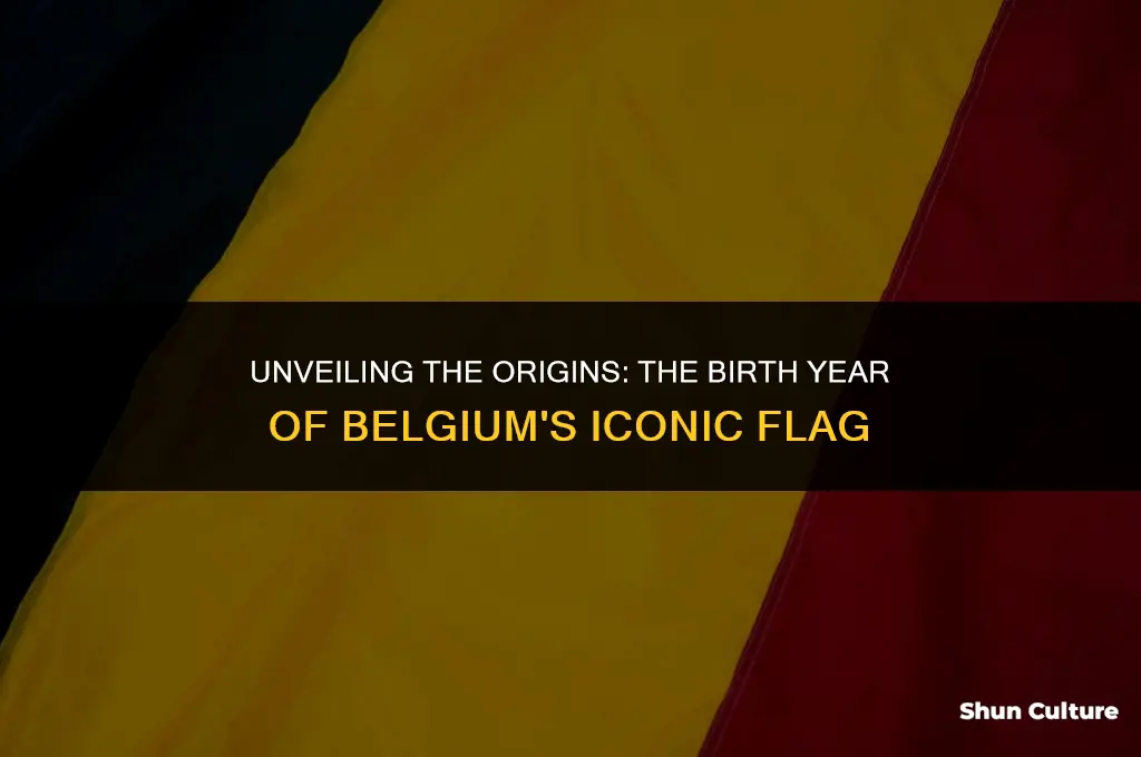 what year was the belgium flag created