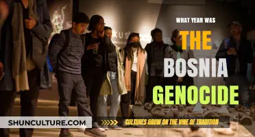 The Bosnia Genocide: Uncovering the Year of the Tragic Event