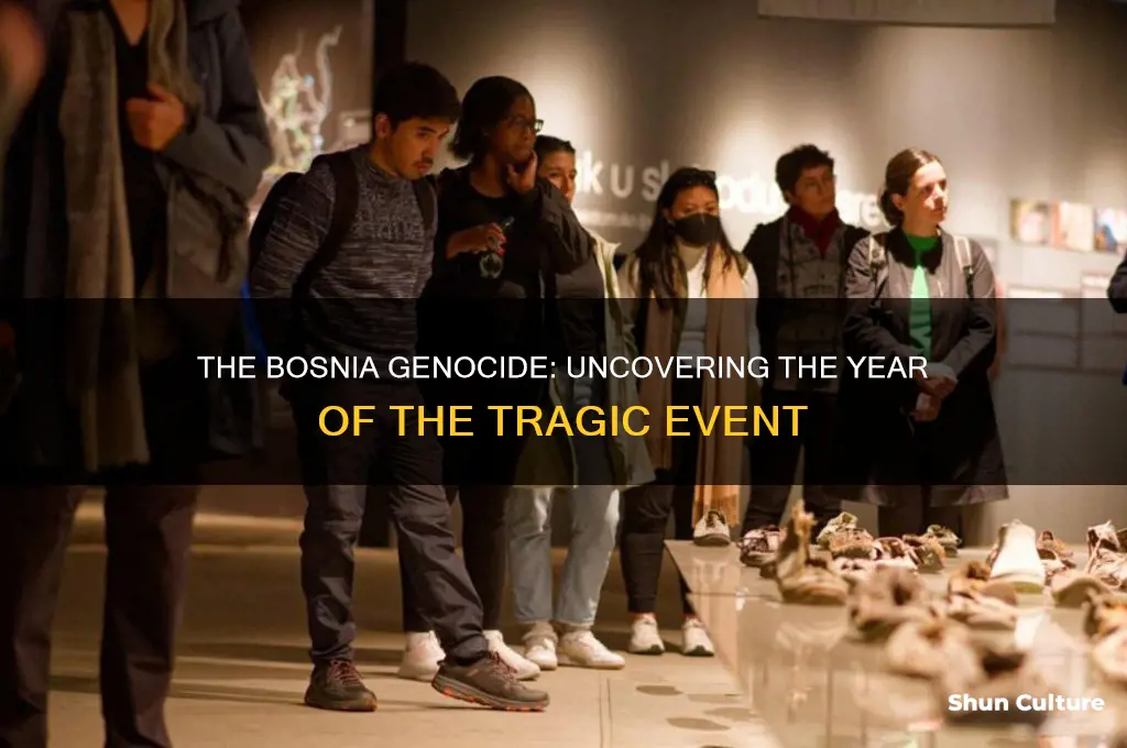 what year was the bosnia genocide