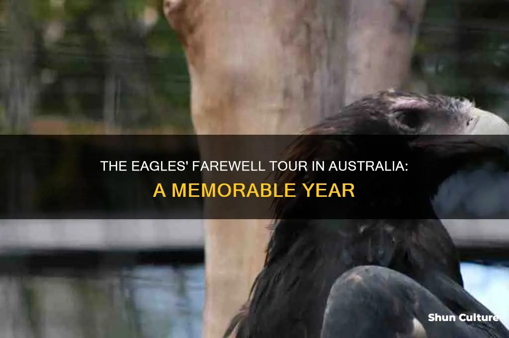 what year was the eagles farewell tour in australia