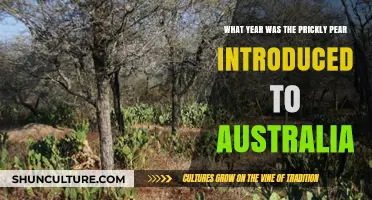 When Did Prickly Pear Invade Australia: A Historical Overview