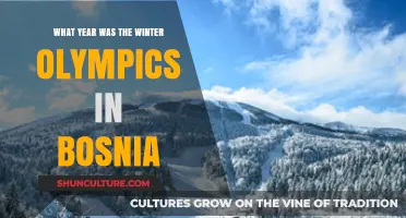 Bosnia's Winter Olympics: A Historic Year in Sports History