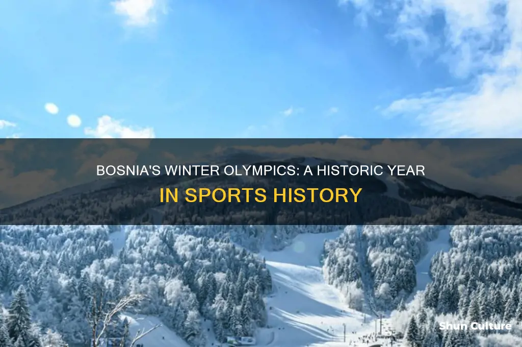 what year was the winter olympics in bosnia