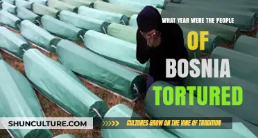 The Year Bosnia's People Endured Torture: A Historical Overview