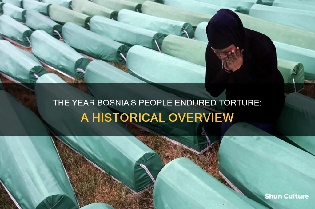 what year were the people of bosnia tortured